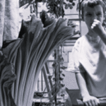 What to do when you get something in your eye or receive an insect bite.