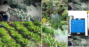 weed control
