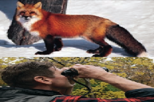 as