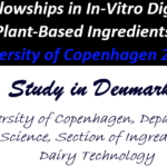 2 PhD Fellowships in In-Vitro Digestion of Novel Plant-Based Ingredients at the University of Copenhagen 2026.