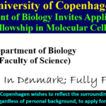University of Copenhagen Department of Biology Invites Application for a PhD fellowship in Molecular Cell Biology.