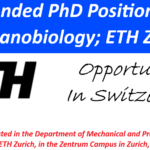 Fully Funded PhD Position in Cell Mechanobiology; ETH Zurich Switzerland.