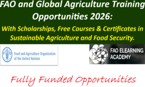 FAO and Global Agriculture Training Opportunities 2026: With Scholarships, Free Courses & Certificates in Sustainable Agriculture and Food Security.