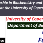 PhD fellowship in Biochemistry and Structural Biology at the University of Copenhagen (Fully Funded).