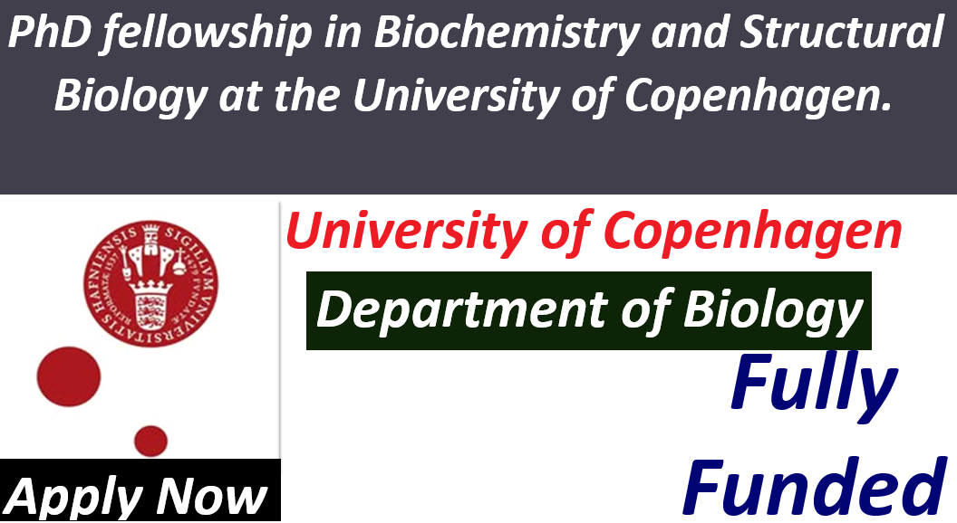 PhD fellowship in Biochemistry and Structural Biology at the University of Copenhagen (Fully Funded).