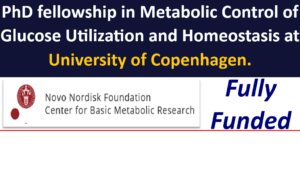 Fully Funded PhD fellowship in Metabolic Control of Glucose Utilization and Homeostasis at University of Copenhagen, 2026.