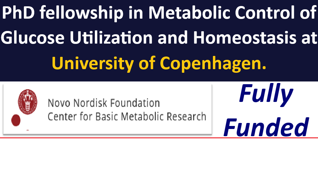 Fully Funded PhD fellowship in Metabolic Control of Glucose Utilization and Homeostasis at University of Copenhagen, 2026.