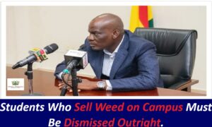 Students Who Sell Weed on Campus Must Be Dismissed Outright.