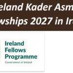 Ireland Kader Asmal Fellowships 2027 in Ireland