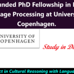Fully Funded PhD Fellowship in Natural Language Processing at University of Copenhagen.