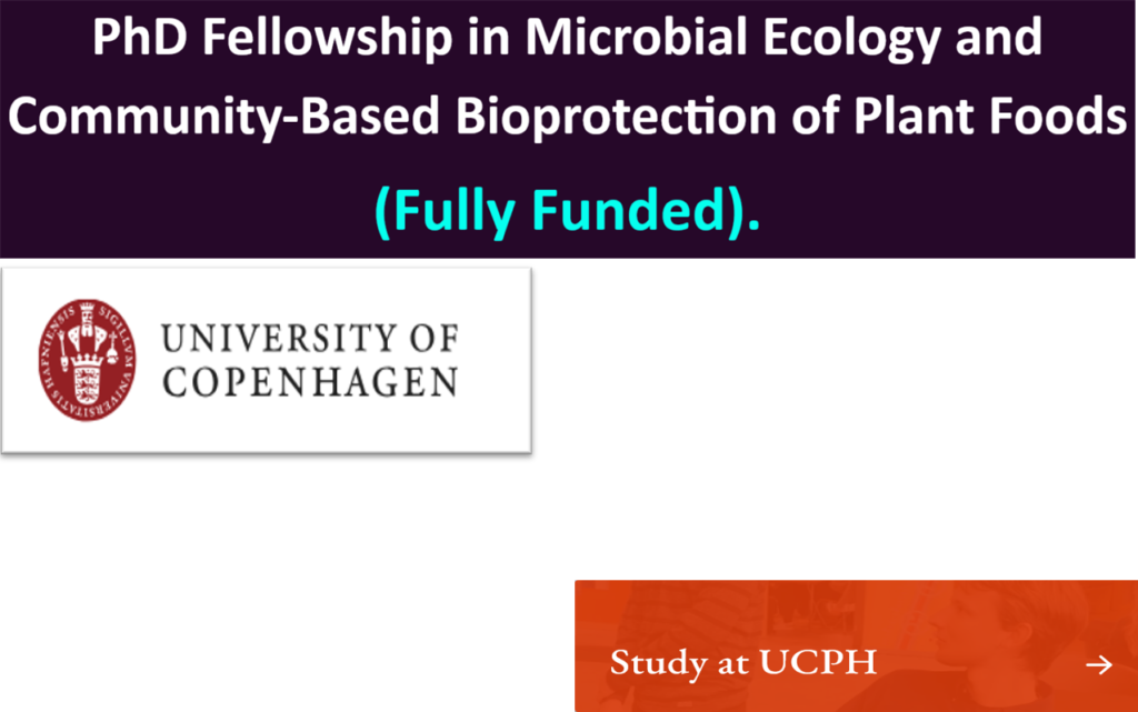 PhD Fellowship in Microbial Ecology and Community-Based Bioprotection of Plant Foods (Fully Funded).
