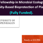 PhD Fellowship in Microbial Ecology and Community-Based Bioprotection of Plant Foods (Fully Funded).