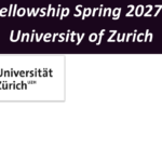 CEES Fellowship Spring 2027 at the University of Zurich.
