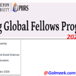 Princeton University Fung Global Fellows Program 2027–28 USA